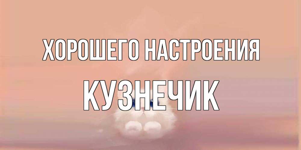 Открытка на каждый день с именем, Кузнечик Хорошего настроения кошка Прикольная открытка с пожеланием онлайн скачать бесплатно 