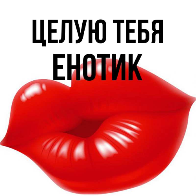 Картинка Целую тебя, Енотик