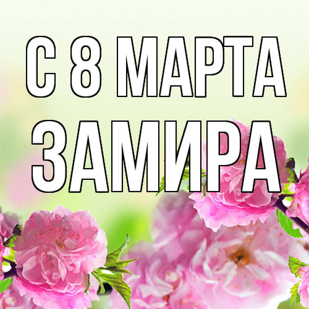 Открытка на каждый день с именем, Замира C 8 МАРТА цветы Прикольная открытка с пожеланием онлайн скачать бесплатно 