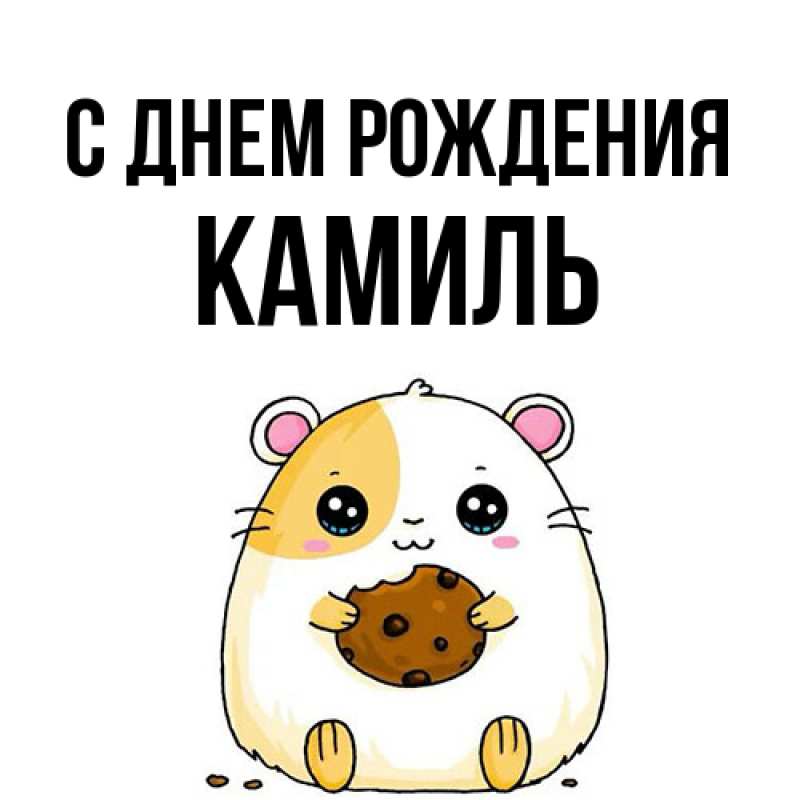 Картинка С днем рождения, Камиль