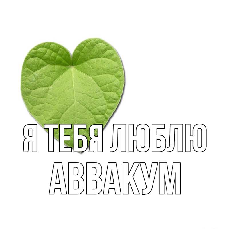 Картинка Я тебя люблю, Аввакум