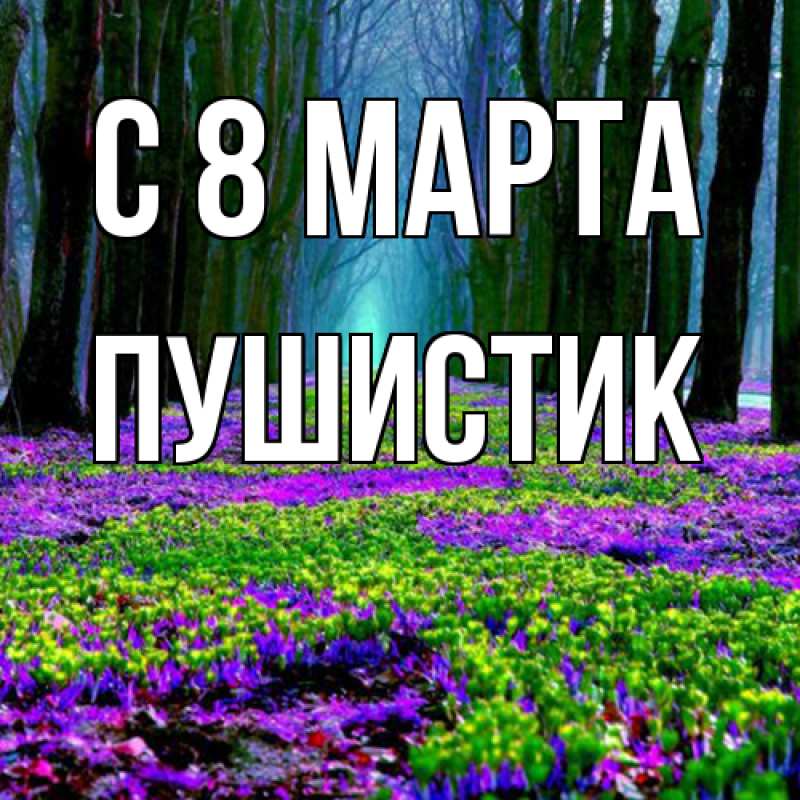 Картинка C 8 МАРТА, Пушистик