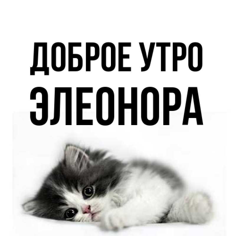 Картинка Доброе утро, Элеонора