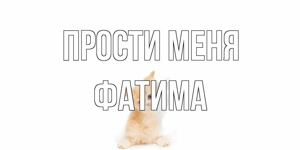 Открытка на каждый день с именем, Фатима Прости меня кот Прикольная открытка с пожеланием онлайн скачать бесплатно 