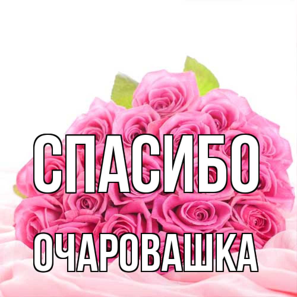 Открытка на каждый день с именем, Очаровашка Спасибо розовые розы с подписью Прикольная открытка с пожеланием онлайн скачать бесплатно 