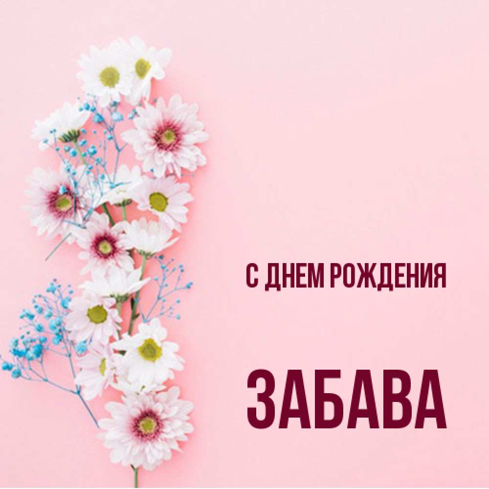 Открытка на каждый день с именем, Забава С днем рождения Родная моя с днем рождения тебя картинка с цветами белыми и голубыми Прикольная открытка с пожеланием онлайн скачать бесплатно 