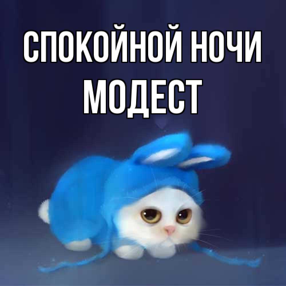 Открытка на каждый день с именем, Модест Спокойной ночи кот в голубом костюме кролика с ушками Прикольная открытка с пожеланием онлайн скачать бесплатно 