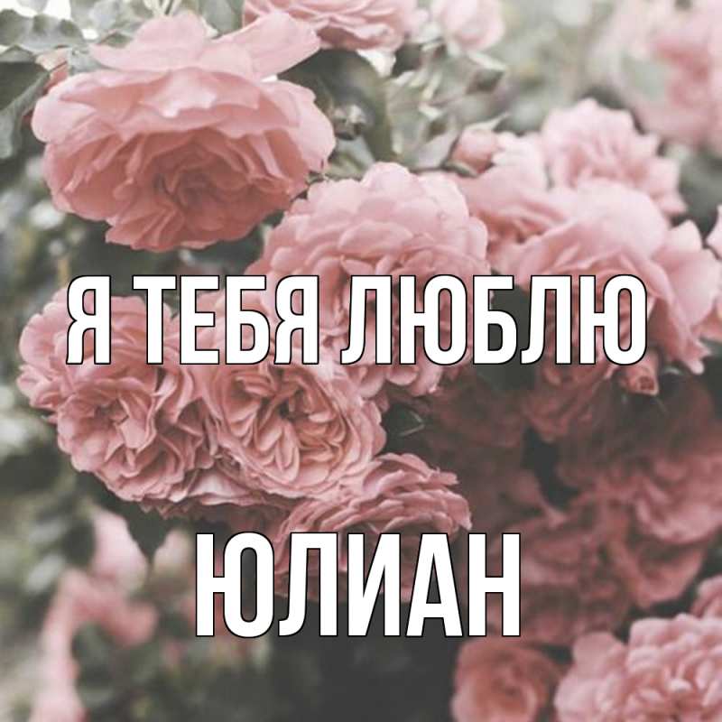 Картинка Я тебя люблю, Юлиан