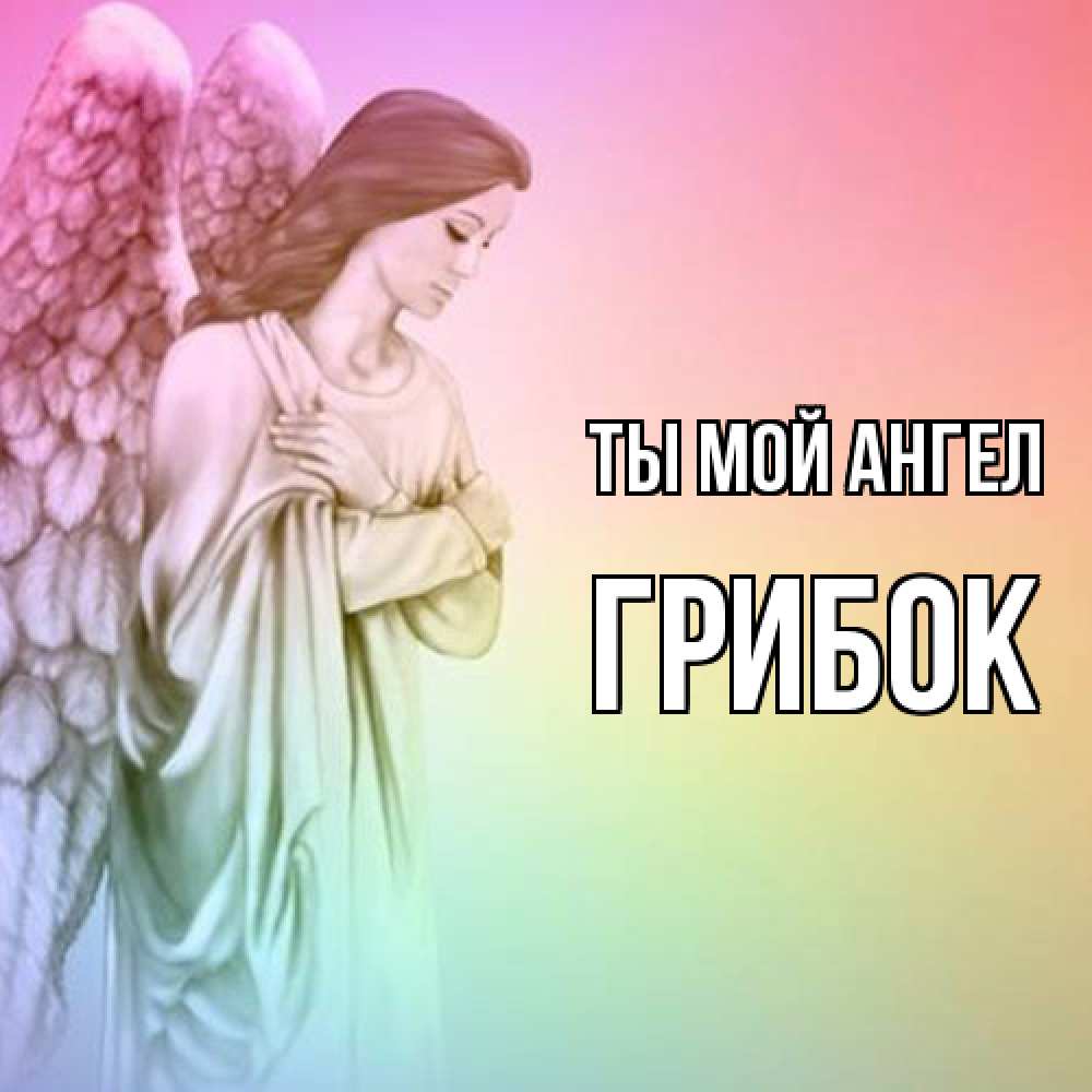Открытка на каждый день с именем, Грибок Ты мой ангел Открытка с ангелом со сложенными крыльями Прикольная открытка с пожеланием онлайн скачать бесплатно 