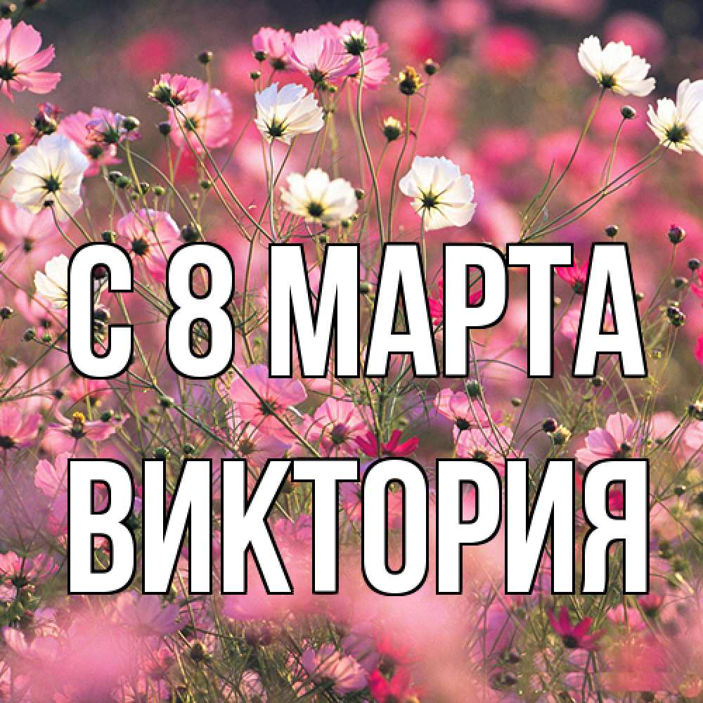 Открытка на каждый день с именем, Виктория C 8 МАРТА красиво 1 Прикольная открытка с пожеланием онлайн скачать бесплатно 