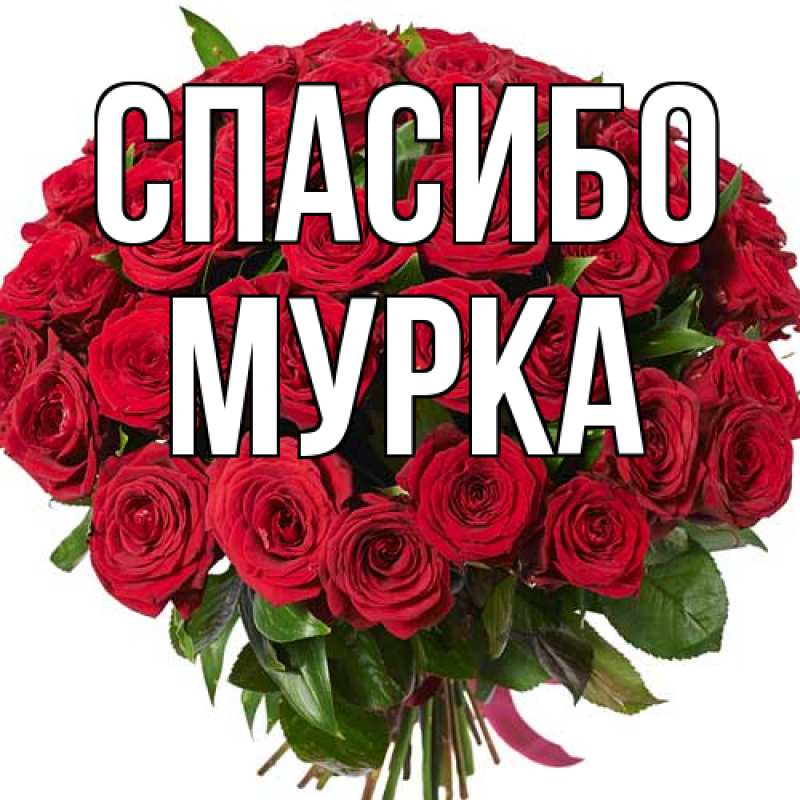 Открытка с именем, Мурка, Спасибо