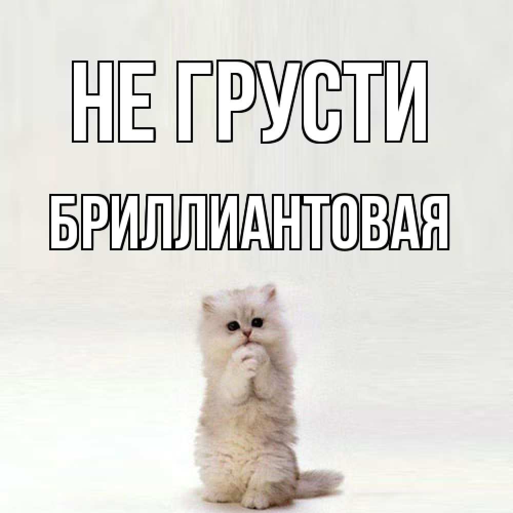 Открытка на каждый день с именем, Бpиллиантовая Не грусти грустный кот Прикольная открытка с пожеланием онлайн скачать бесплатно 