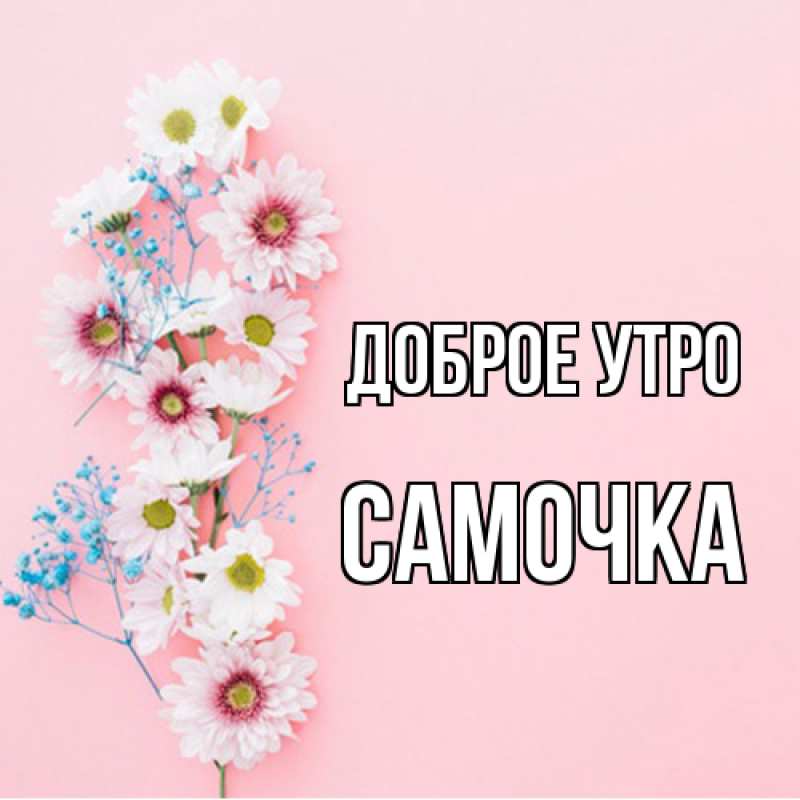 Картинка Доброе утро, Самочка
