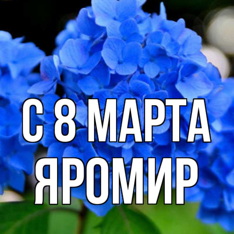Картинка C 8 МАРТА, Яромир