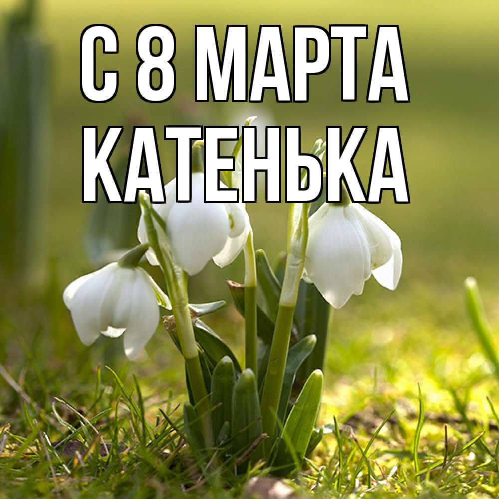 Открытка на каждый день с именем, Катенька C 8 МАРТА ранние цветы 2 Прикольная открытка с пожеланием онлайн скачать бесплатно 