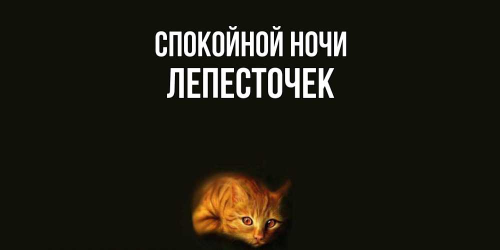 Открытка на каждый день с именем, Лепесточек Спокойной ночи кот Прикольная открытка с пожеланием онлайн скачать бесплатно 