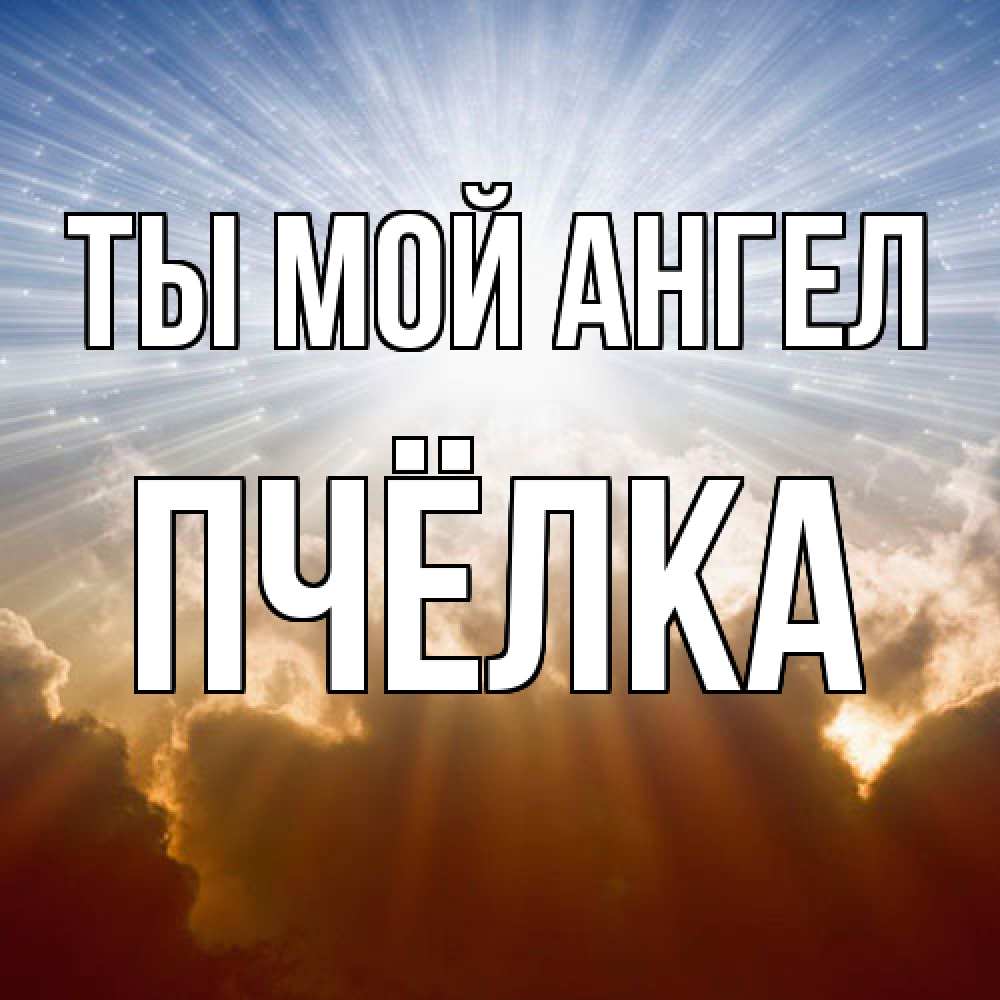 Открытка на каждый день с именем, Пчёлка Ты мой ангел ангельский свет на небе Прикольная открытка с пожеланием онлайн скачать бесплатно 