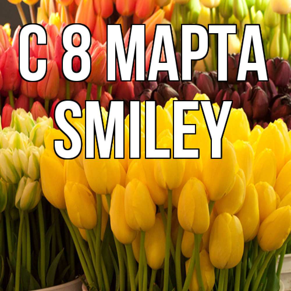 Открытка на каждый день с именем, Smiley C 8 МАРТА цветы Прикольная открытка с пожеланием онлайн скачать бесплатно 