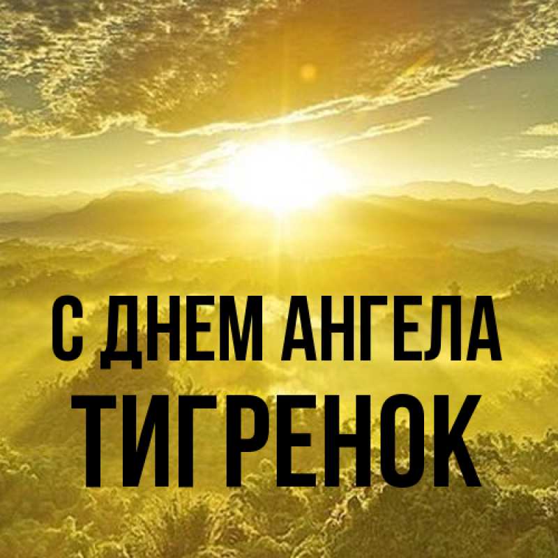 Открытка с именем, Тигpенок, С днем ангела