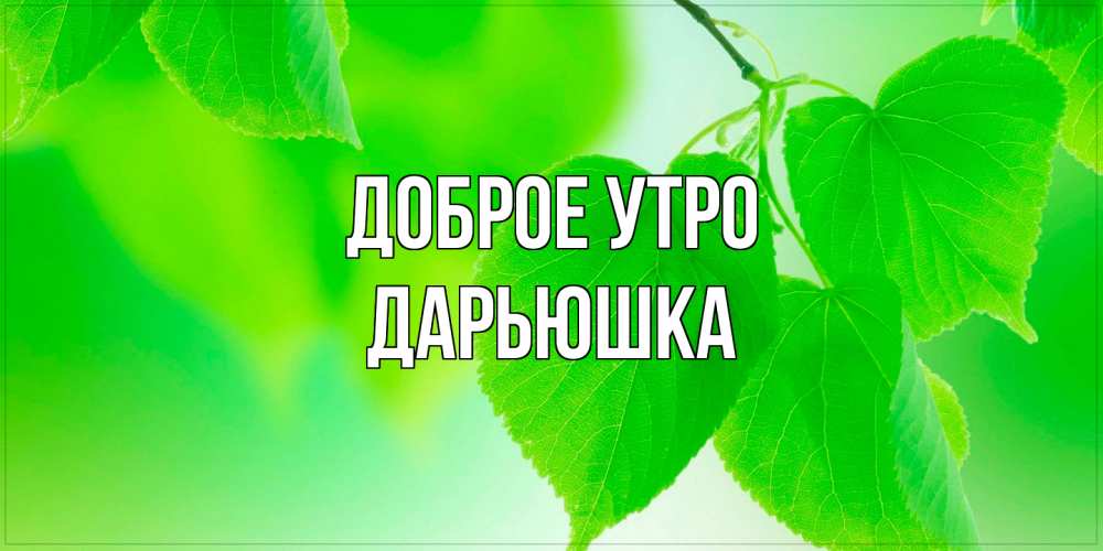Открытка на каждый день с именем, Дарьюшка Доброе утро доброе утро с березовыми листьями Прикольная открытка с пожеланием онлайн скачать бесплатно 
