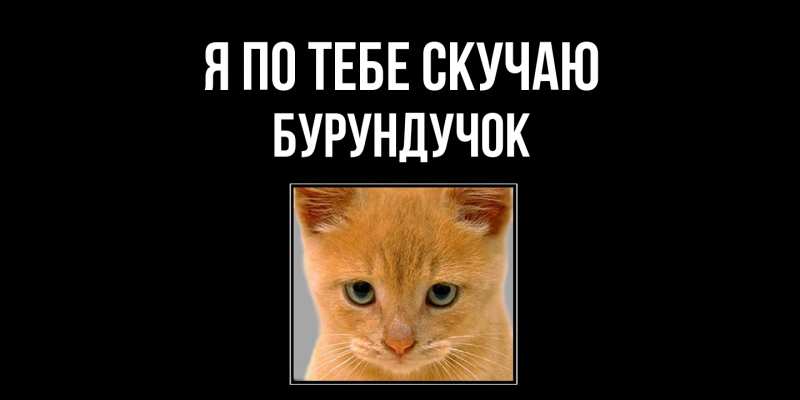 Картинка Я по тебе скучаю, бурундучок