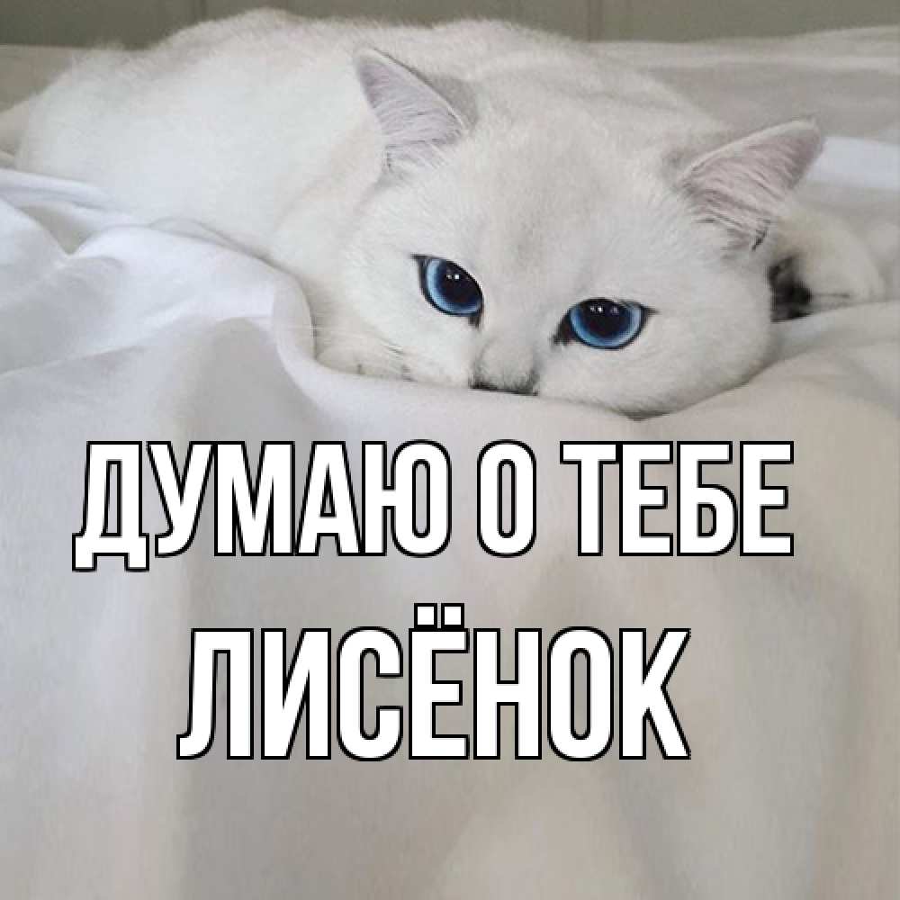 Открытка на каждый день с именем, Лисёнок Думаю о тебе я очень по тебе скучаю и тоскую Прикольная открытка с пожеланием онлайн скачать бесплатно 