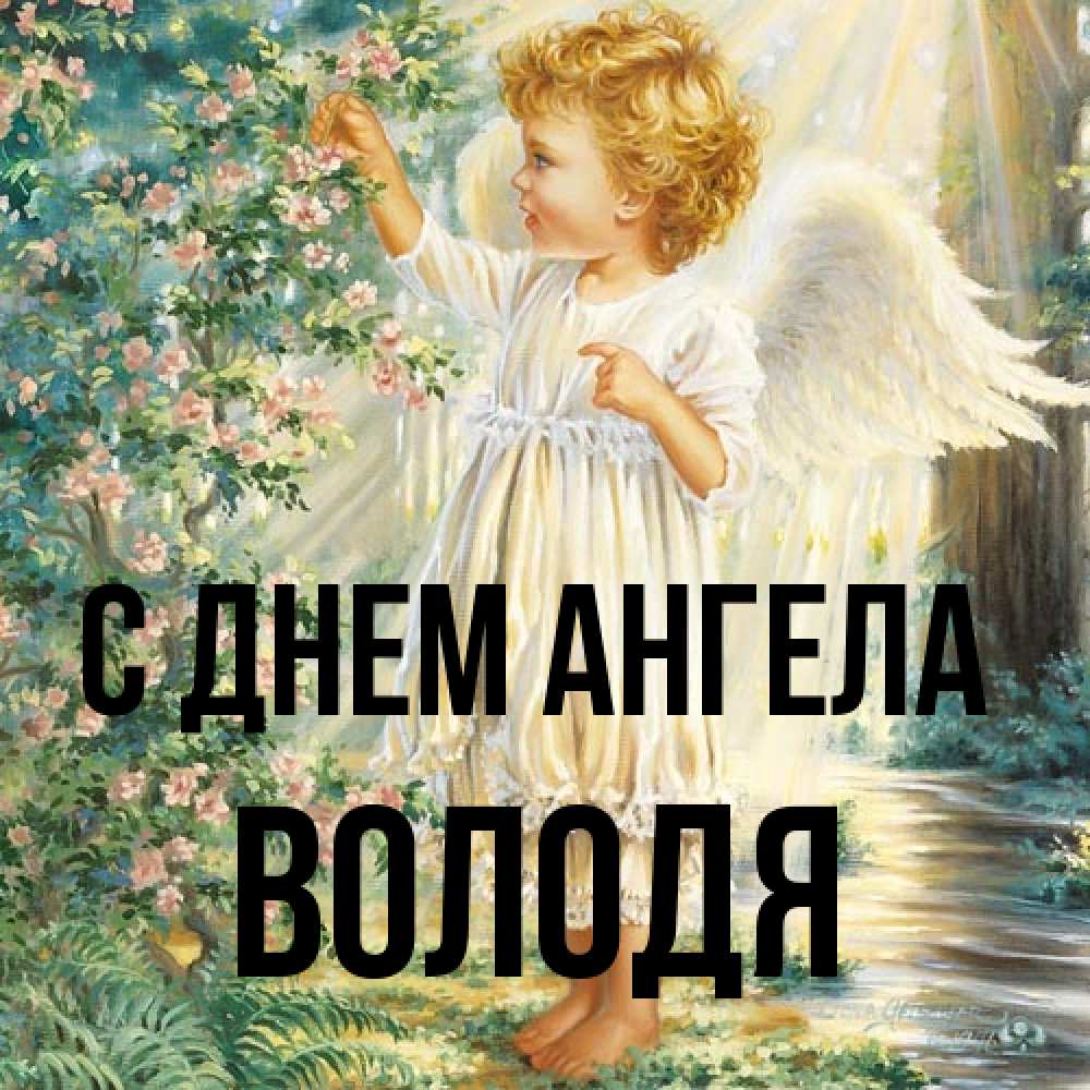 Открытка на каждый день с именем, Володя С днем ангела собирает цветы Прикольная открытка с пожеланием онлайн скачать бесплатно 
