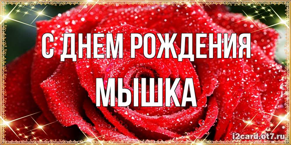 Открытка на каждый день с именем, Мышка С днем рождения роса и роза. открытка с красивой розой Прикольная открытка с пожеланием онлайн скачать бесплатно 