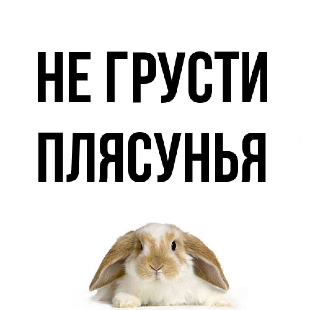 Открытка на каждый день с именем, Плясунья Не грусти коричнево белый заяц с большими ушками Прикольная открытка с пожеланием онлайн скачать бесплатно 