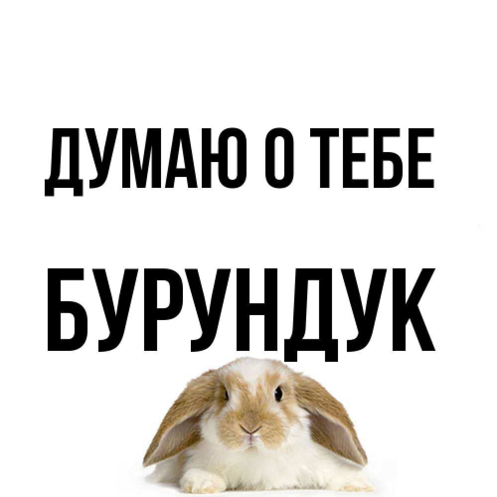 Открытка на каждый день с именем, Бурундук Думаю о тебе подписать своими руками онлайн Прикольная открытка с пожеланием онлайн скачать бесплатно 