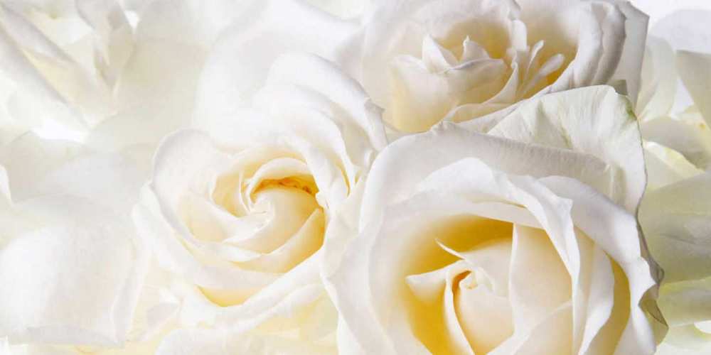 Открытка на каждый день с именем, Мира С днем рождения открыточки на день рождения любимым Прикольная открытка с пожеланием онлайн скачать бесплатно 