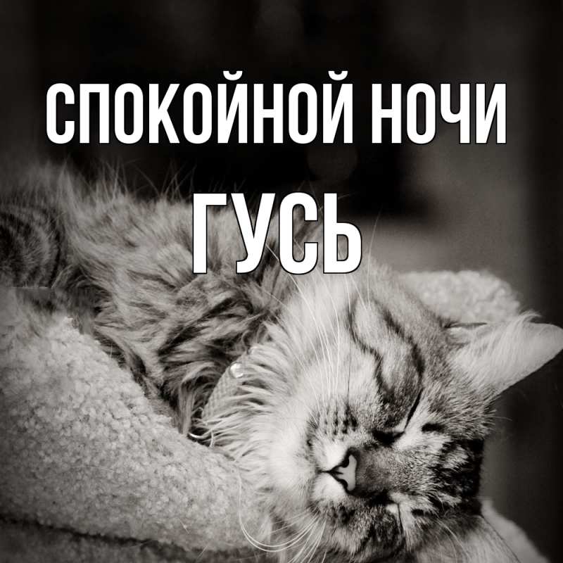 Картинка Спокойной ночи, Гусь