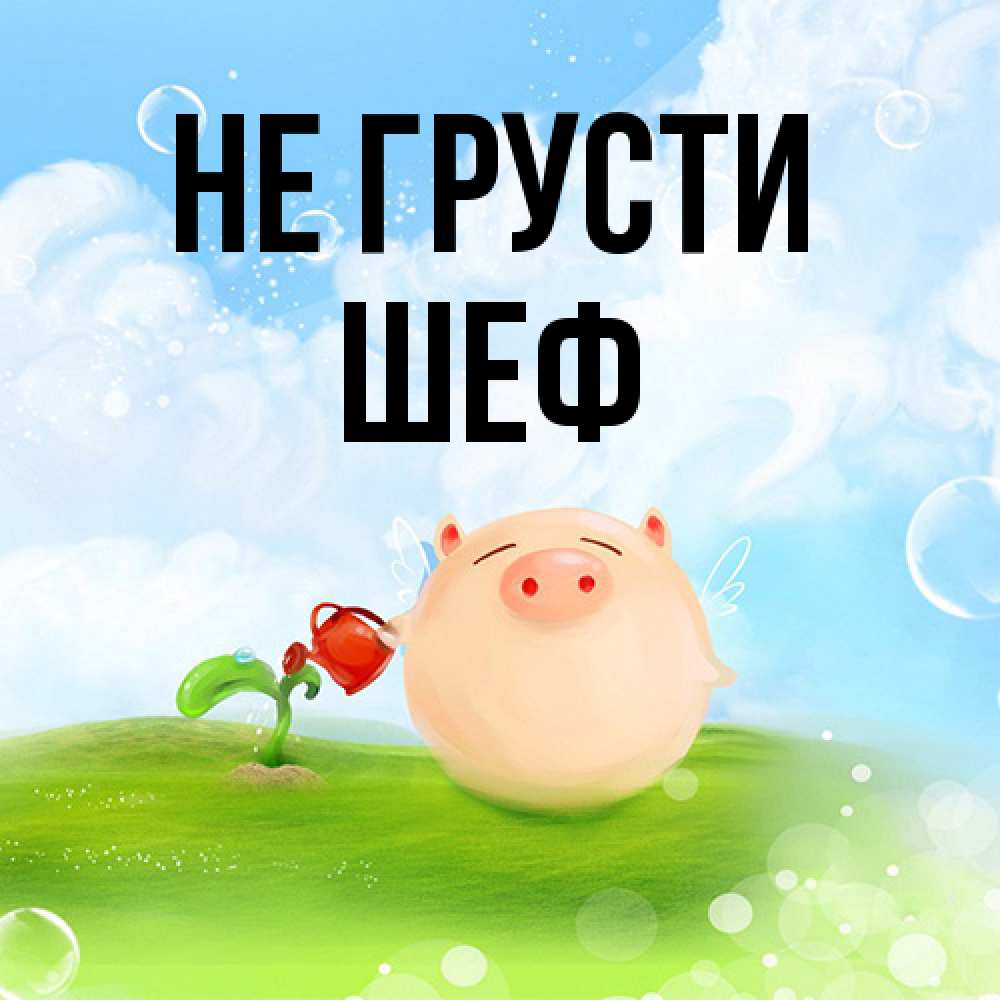 Открытка на каждый день с именем, Шеф Не грусти поливает цветок порося Прикольная открытка с пожеланием онлайн скачать бесплатно 