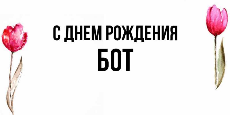 Картинка С днем рождения, Бот