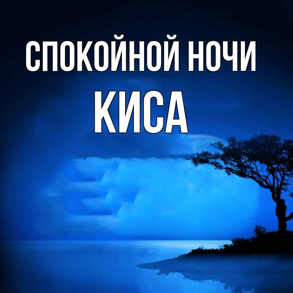 Открытка на каждый день с именем, Киса Спокойной ночи ночное побережье Прикольная открытка с пожеланием онлайн скачать бесплатно 
