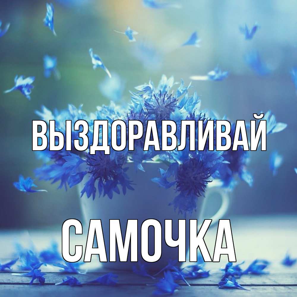 Открытка на каждый день с именем, Самочка Выздоравливай кружка с зельем и цветами Прикольная открытка с пожеланием онлайн скачать бесплатно 