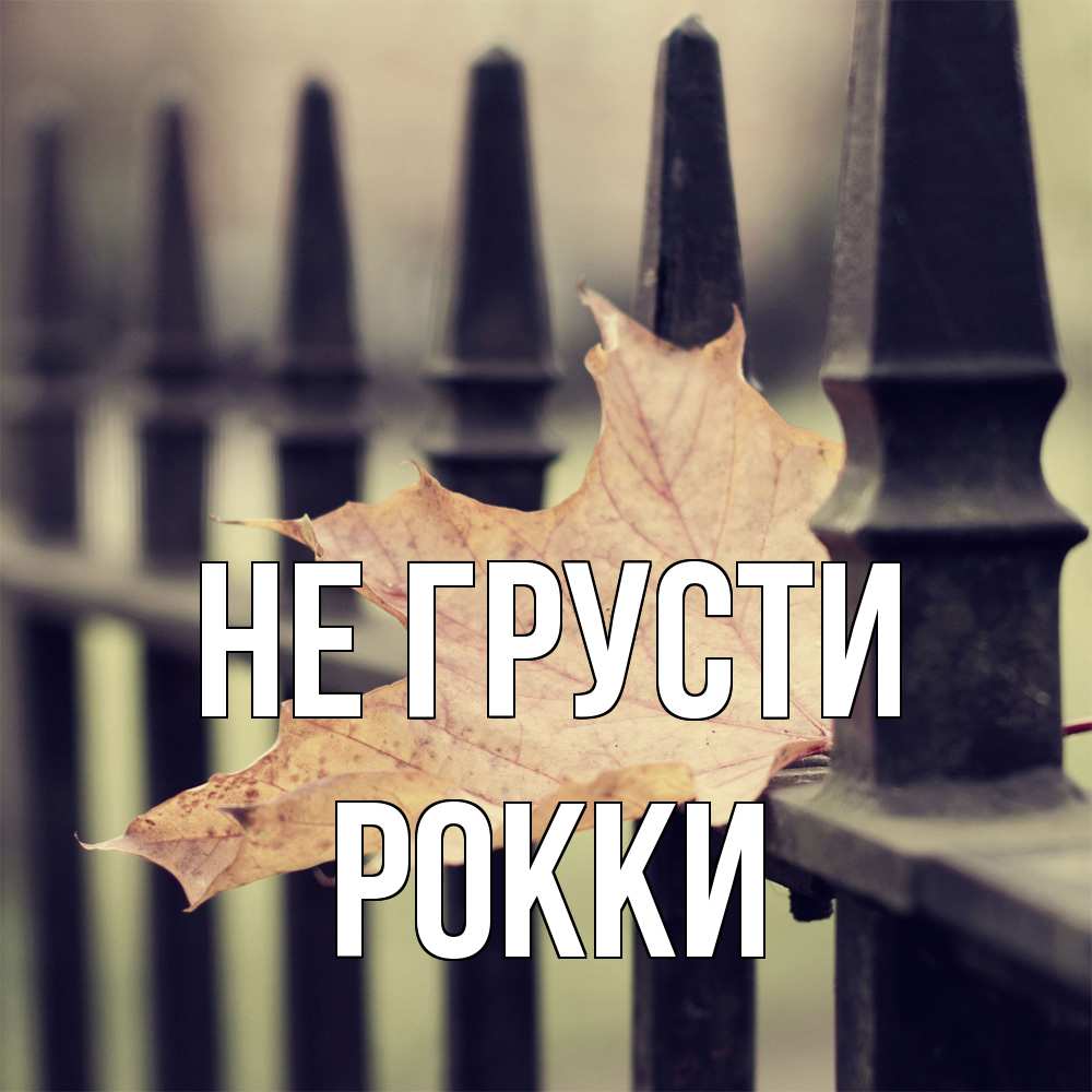Открытка на каждый день с именем, Рокки Не грусти лист клена Прикольная открытка с пожеланием онлайн скачать бесплатно 