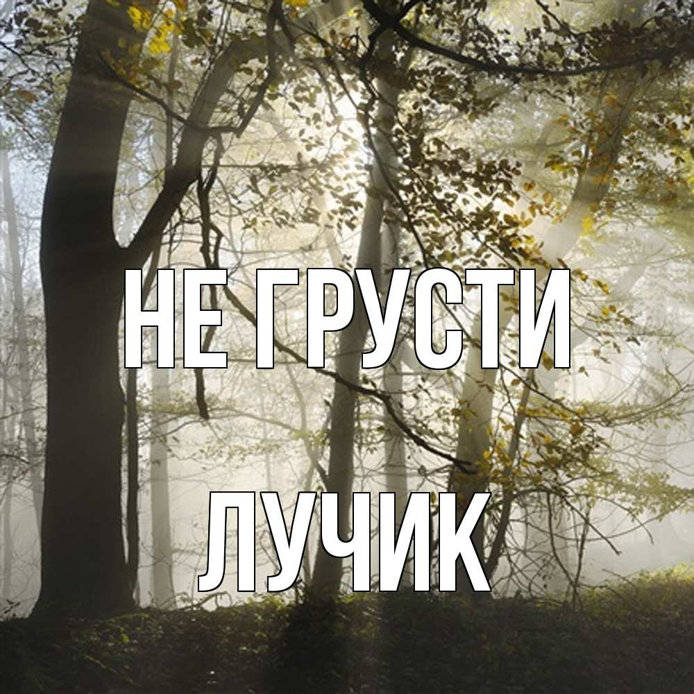 Открытка на каждый день с именем, Лучик Не грусти лес и свет Прикольная открытка с пожеланием онлайн скачать бесплатно 