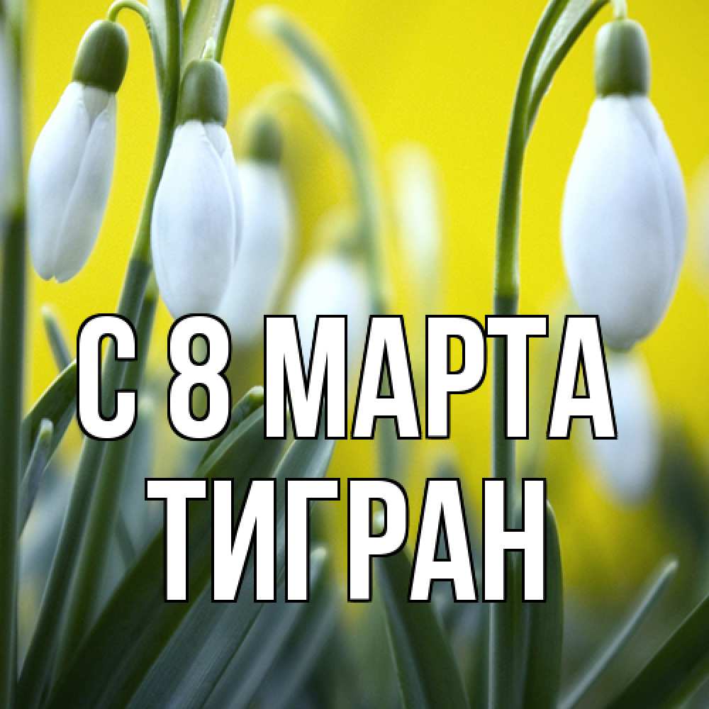 Открытка на каждый день с именем, Тигран C 8 МАРТА весенние цветы Прикольная открытка с пожеланием онлайн скачать бесплатно 