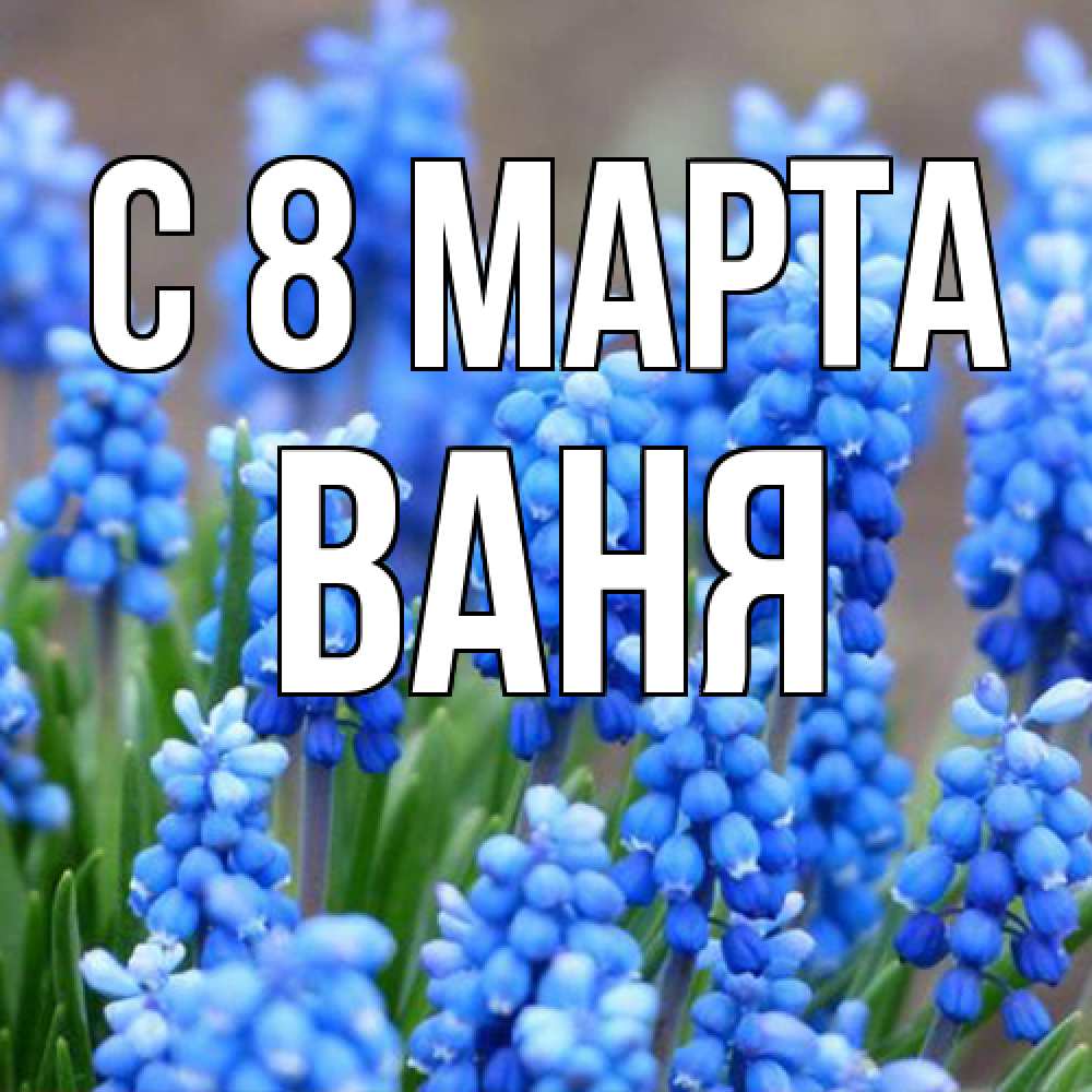 Открытка на каждый день с именем, Ваня C 8 МАРТА Поздравительная открытка для женщин с цветами на праздничную дату Прикольная открытка с пожеланием онлайн скачать бесплатно 