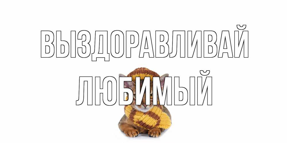 Открытка на каждый день с именем, Любимый Выздоравливай родные не болейте Прикольная открытка с пожеланием онлайн скачать бесплатно 