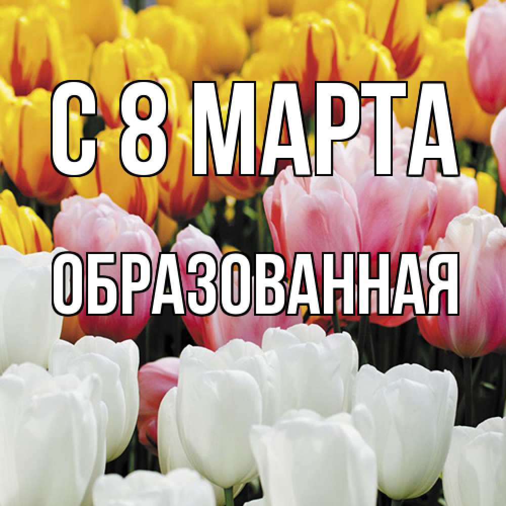 Открытка на каждый день с именем, Образованная C 8 МАРТА разноцветные цветы Прикольная открытка с пожеланием онлайн скачать бесплатно 