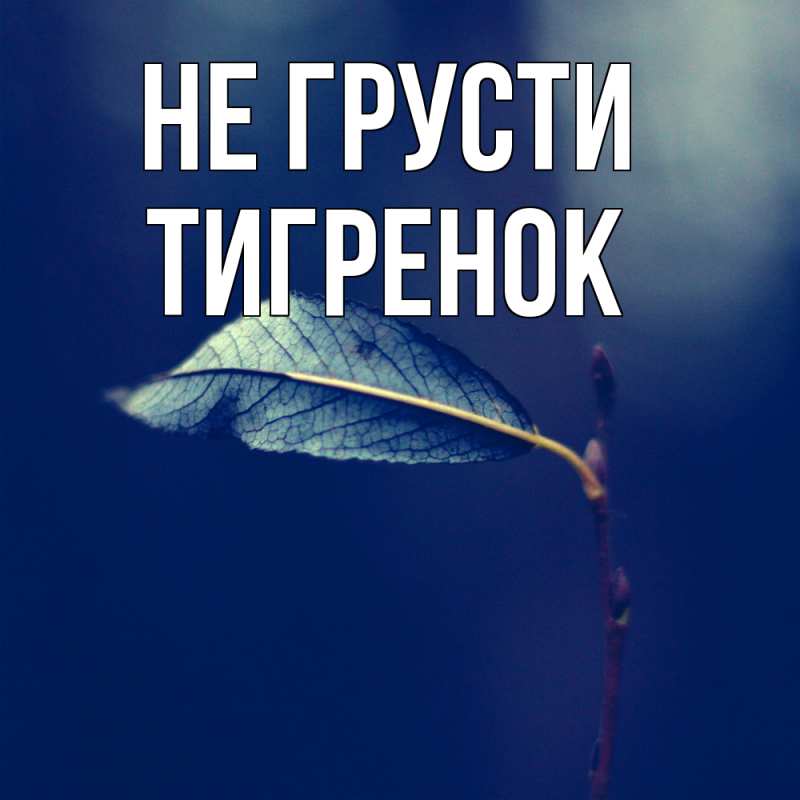 Картинка Не грусти, Тигpенок