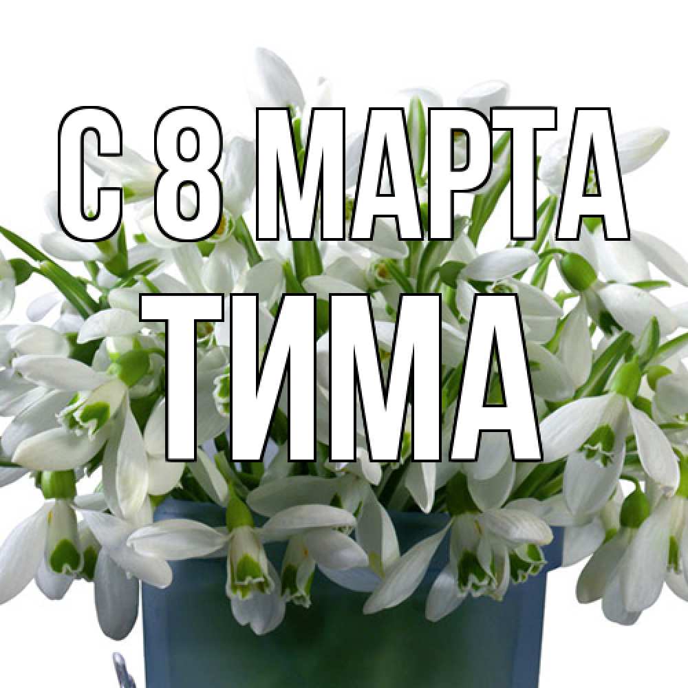 Открытка на каждый день с именем, Тима C 8 МАРТА цветы к международному женскому дню Прикольная открытка с пожеланием онлайн скачать бесплатно 