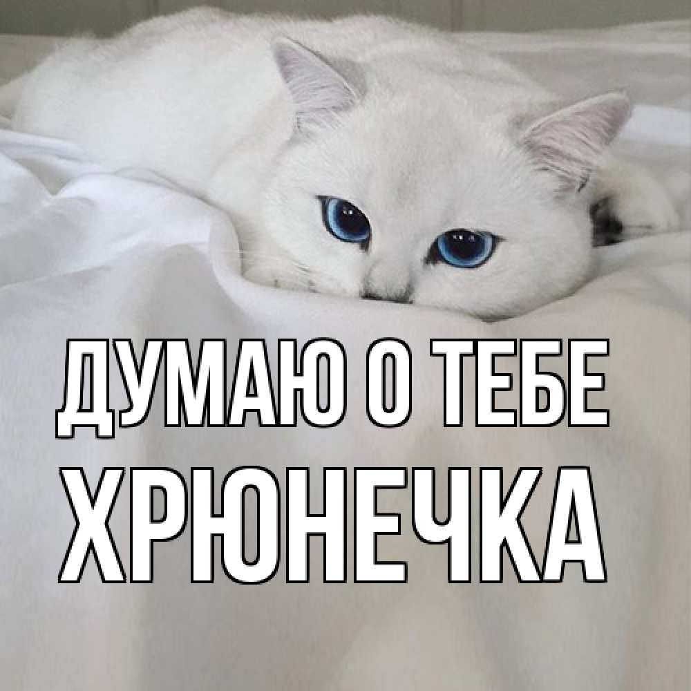 Открытка на каждый день с именем, Хрюнечка Думаю о тебе я очень по тебе скучаю и тоскую Прикольная открытка с пожеланием онлайн скачать бесплатно 