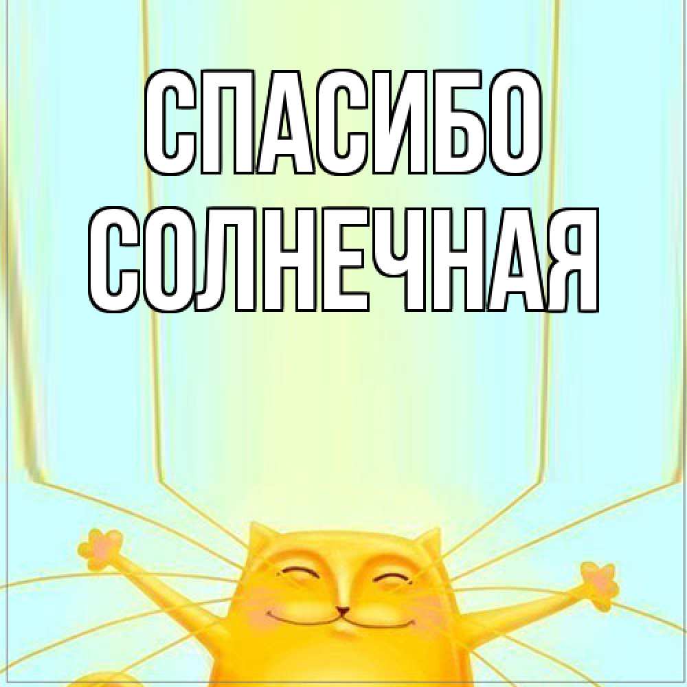Открытка на каждый день с именем, солнечная Спасибо кот с усами благодарит Прикольная открытка с пожеланием онлайн скачать бесплатно 