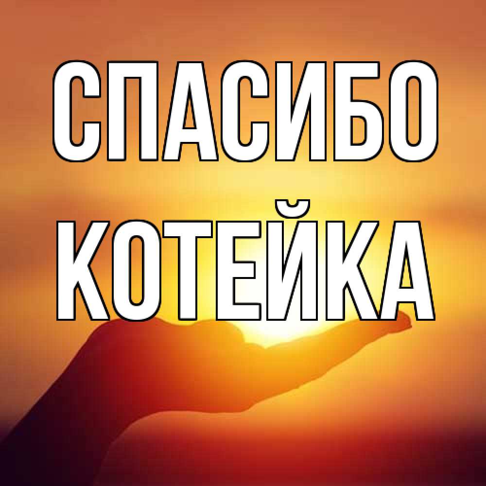 Открытка на каждый день с именем, Котейка Спасибо закат Прикольная открытка с пожеланием онлайн скачать бесплатно 