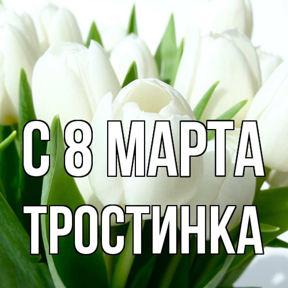Открытка на каждый день с именем, Тростинка C 8 МАРТА цветы Прикольная открытка с пожеланием онлайн скачать бесплатно 