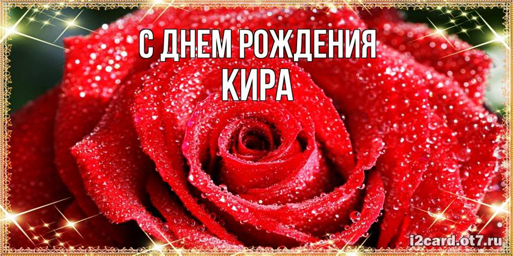 Открытка на каждый день с именем, Кира С днем рождения роса и роза. открытка с красивой розой Прикольная открытка с пожеланием онлайн скачать бесплатно 
