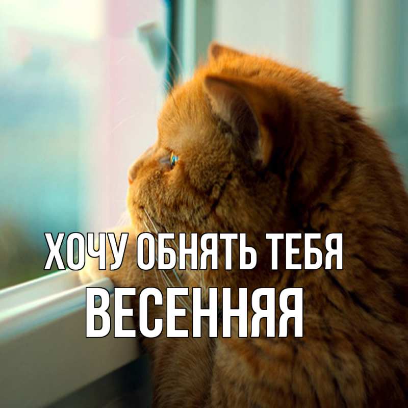 Картинка Хочу обнять тебя, Весенняя